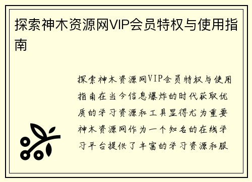 探索神木资源网VIP会员特权与使用指南